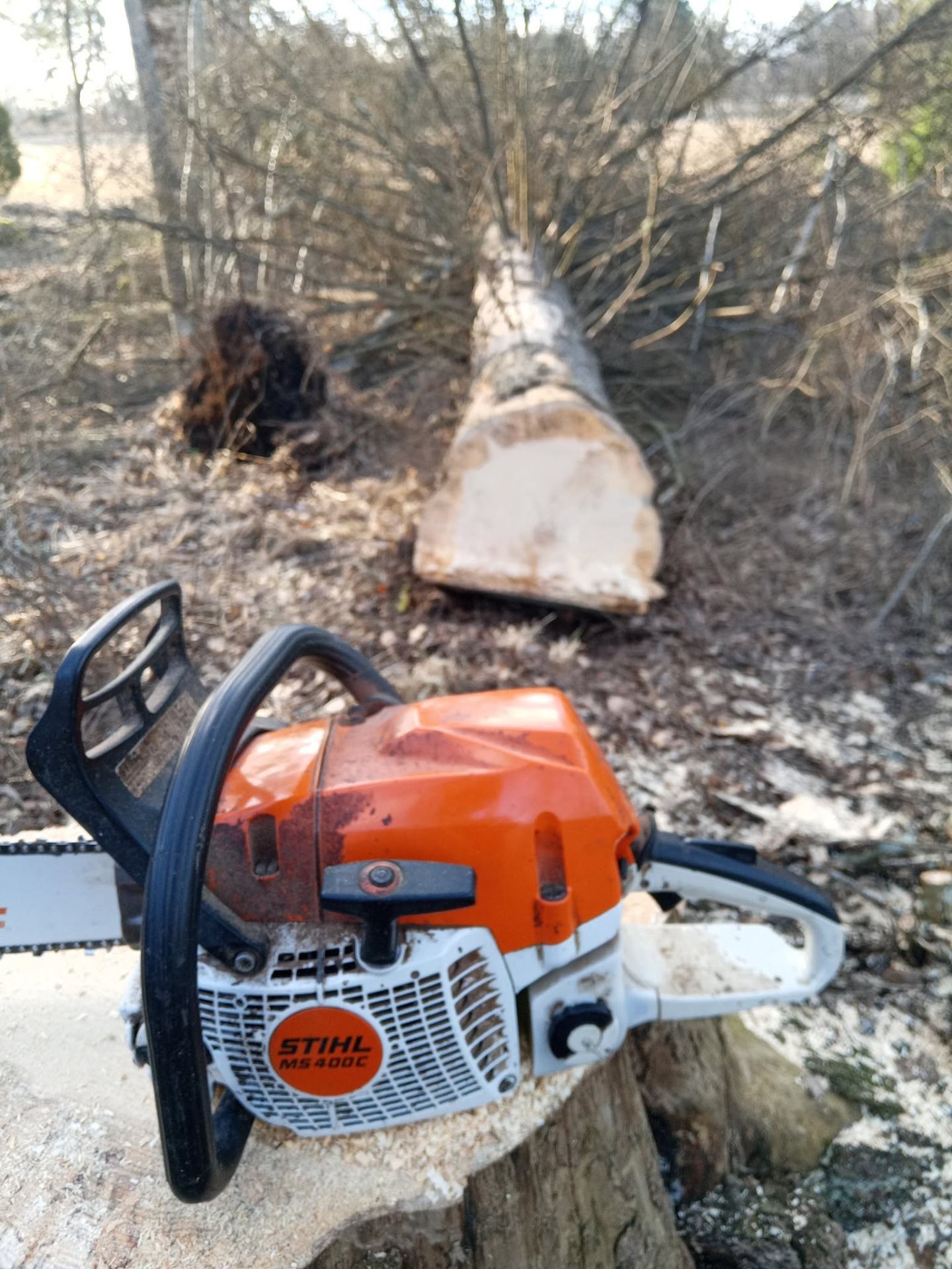 Stihl MS 400 C -moottorisaha ja kaadettu puu