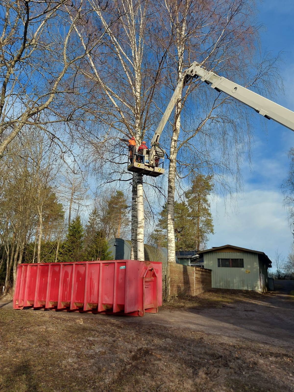 Puiden hoitotyöt nostokorilla pihapiirissä