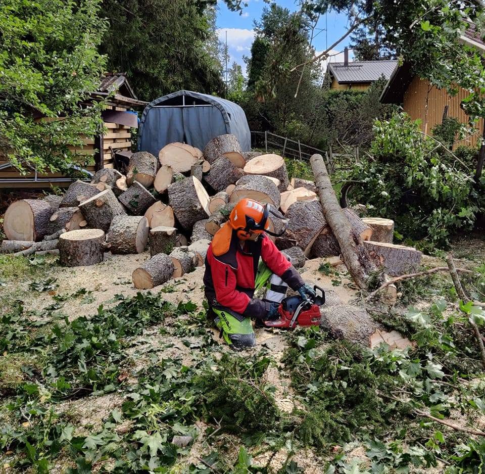 Metsuri Mikko Saarinen työssä moottorisahan kanssa